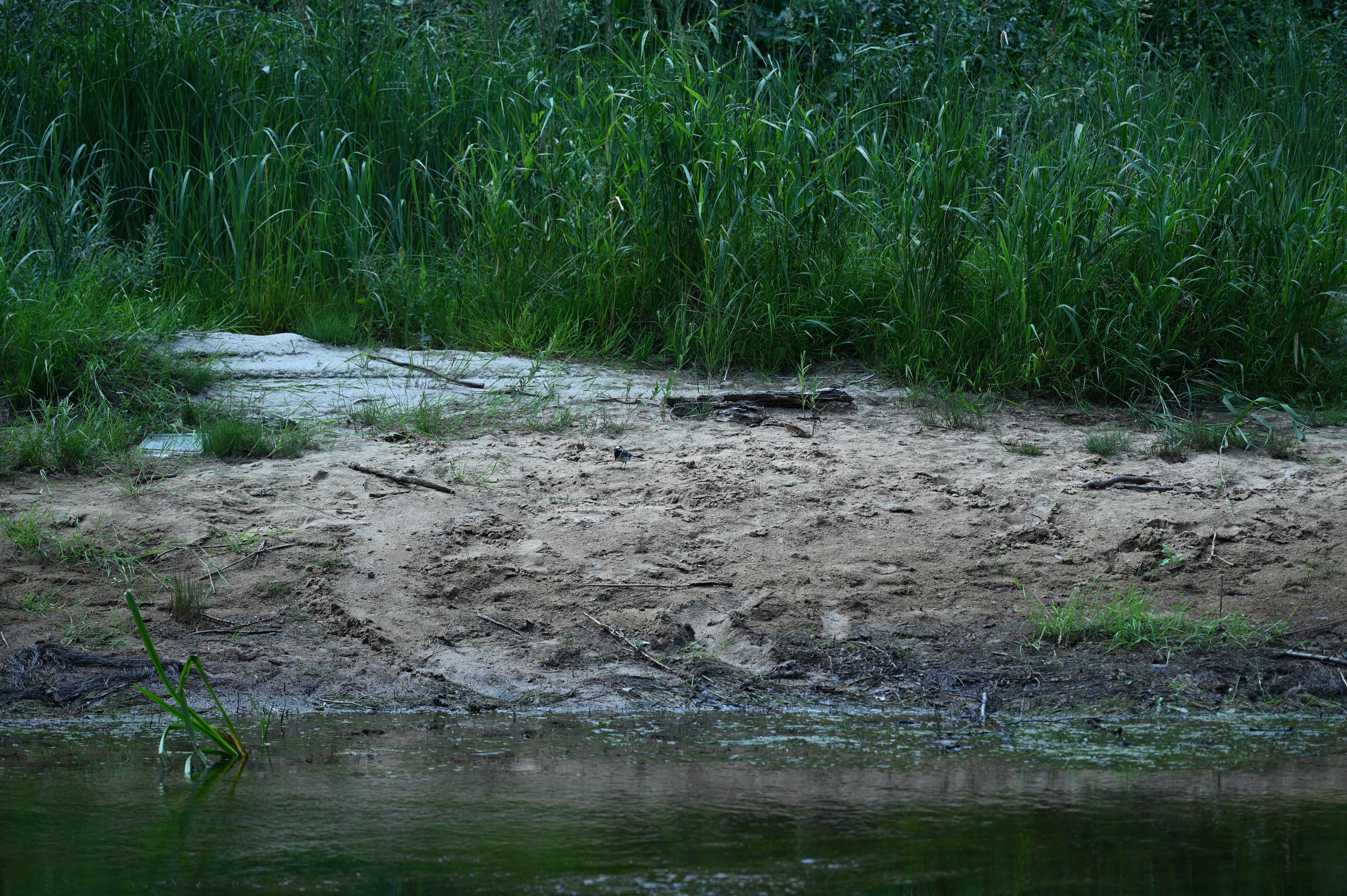 2025/07/09-14 - trip/DSC_0324.JPG